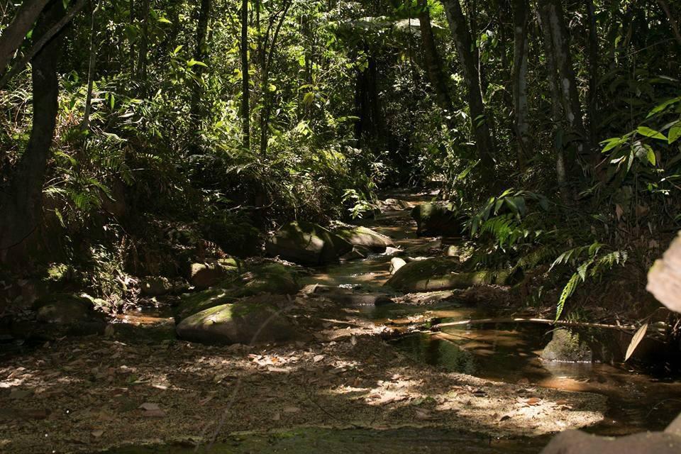 Hotel Fazenda Paraiso Da Serra Congonhas  Zewnętrze zdjęcie